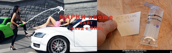 индика Приозерск