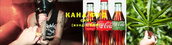 индика Приозерск