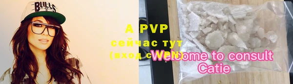 стафф Пролетарск