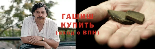 индика Приозерск