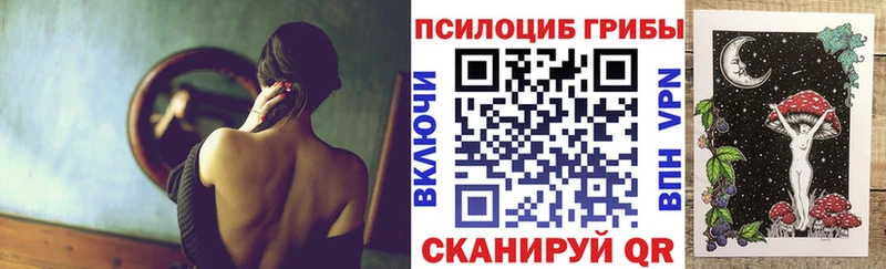 Псилоцибиновые грибы прущие грибы  Купить  Сасово 